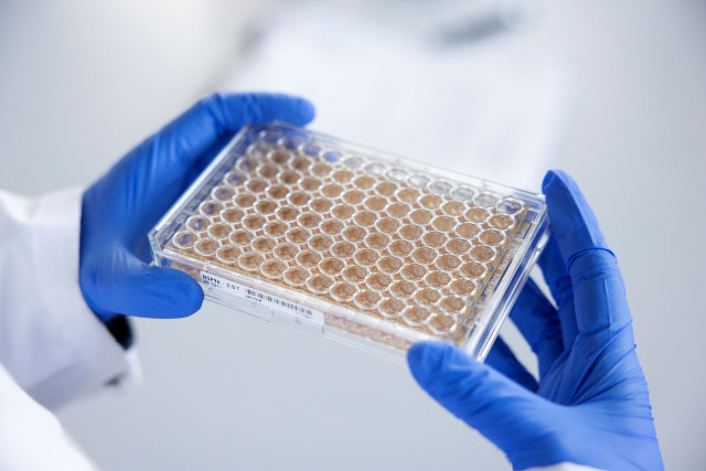 Nanion Technologies, Accelerating brand effectiveness, brand photo, CardioExyte | CBC | Cross-Border Communications | Leading international B2B branding and marketing agency