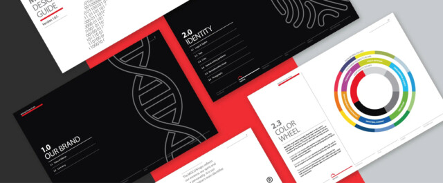 Screen grabs of visual design guide related to rebranding